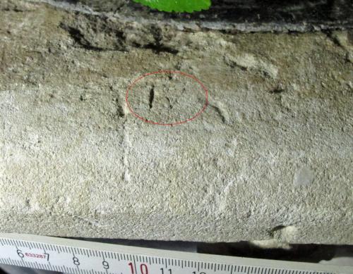 Ipplepen 13. Font rim. Letter W, circled.