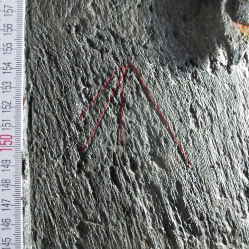 Ipplepen 2. South door. Probable Marian type M, outlined in red.