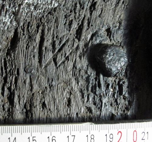 Ipplepen 3. South door. I W, possibly initials.