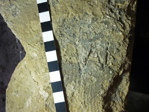 11. V V or W. Tower stair top step.