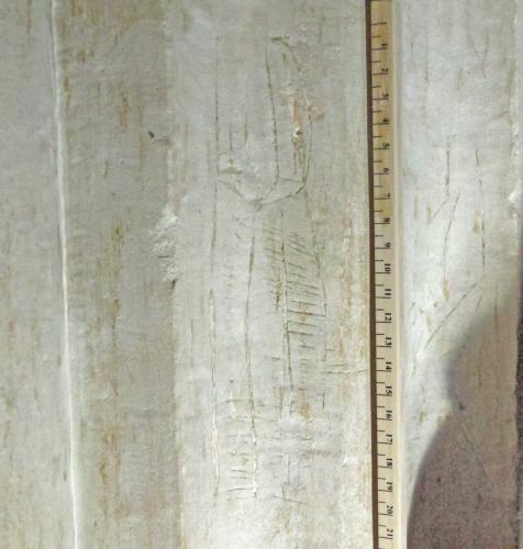 11.  Unknown ?three dimensional object. South aisle pier.