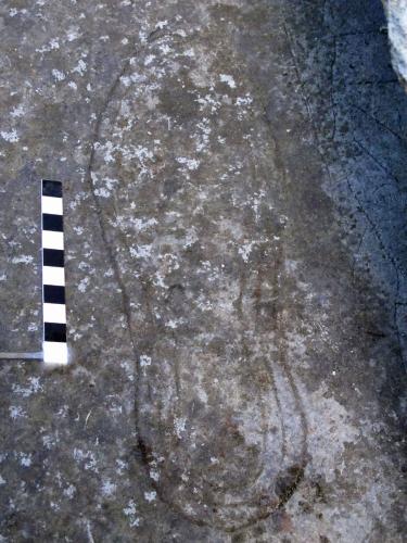 12. Shoe outlines. Tower roof.