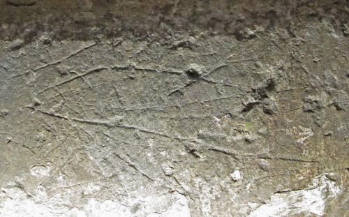 13. Possible fish? Lord Dinham effigy.