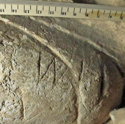 14.  Letters W  ?I; feint saltire crosses below. Effigy shoulder.