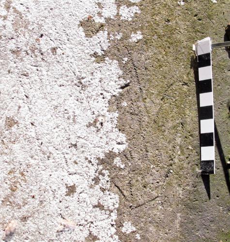 15. Feint hand outline. Tower roof. 