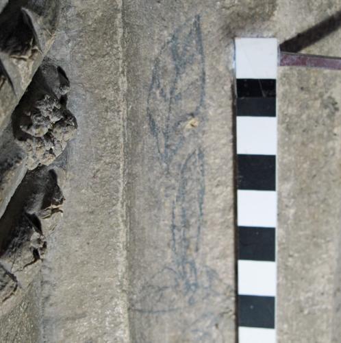 2. Pencil drawn leaves to right of porch.