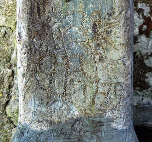 5. Initials & date G P 1779.  Chancel, lead downpipe.