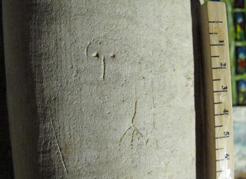 7. Bird head and legs. South aisle pier.