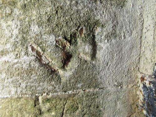 8. Ancient weathered letter W. External tower doorway. 