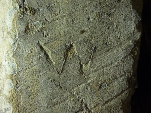 8. V V or W. Tower roof doorway.