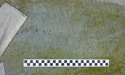 Bondleigh 25. Tower roof. Probable name Seaward (part covered by tape repair). 