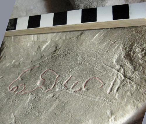 2. Possible bird or dragon type creature (highlighted), facing left, on neck of effigy in south transept.